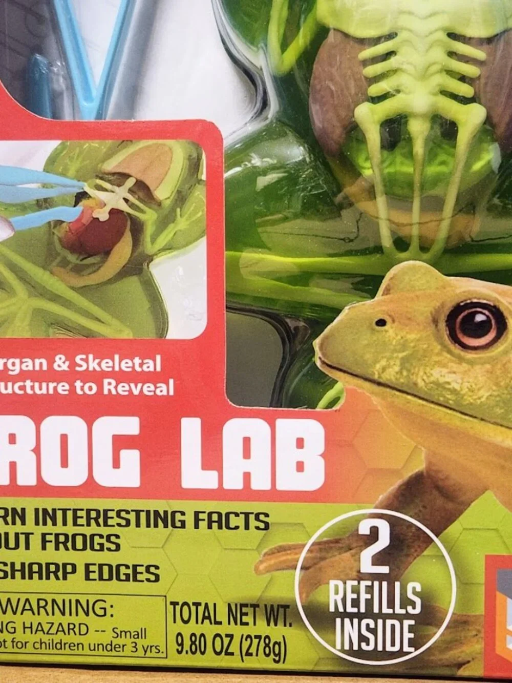 NEW Dissect-it Synthetic Lab Dissection Toy STEM KIT CRAFT Project Frog Biology